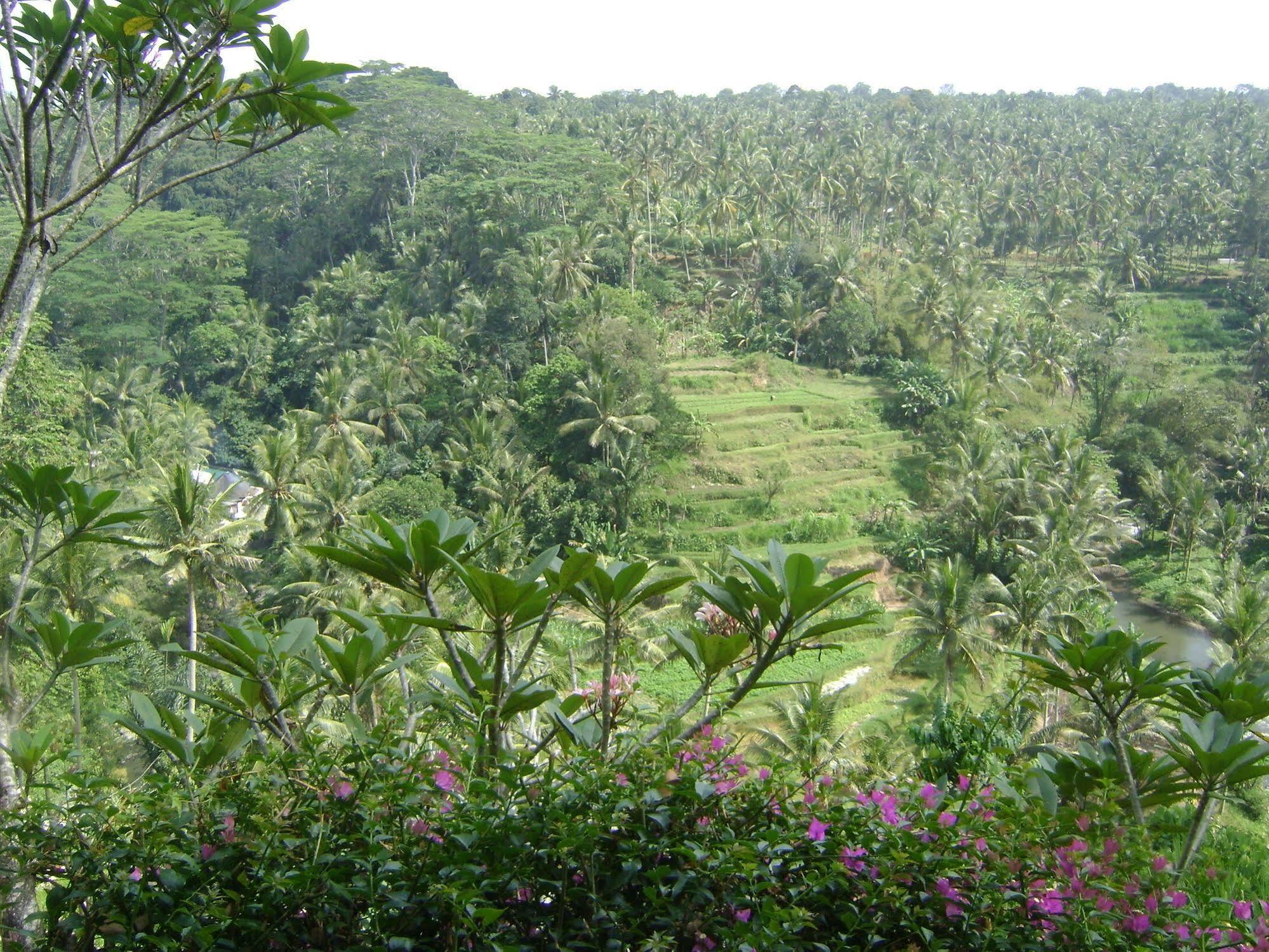 Taman Bebek Bali Hotel Ubud  Exterior photo