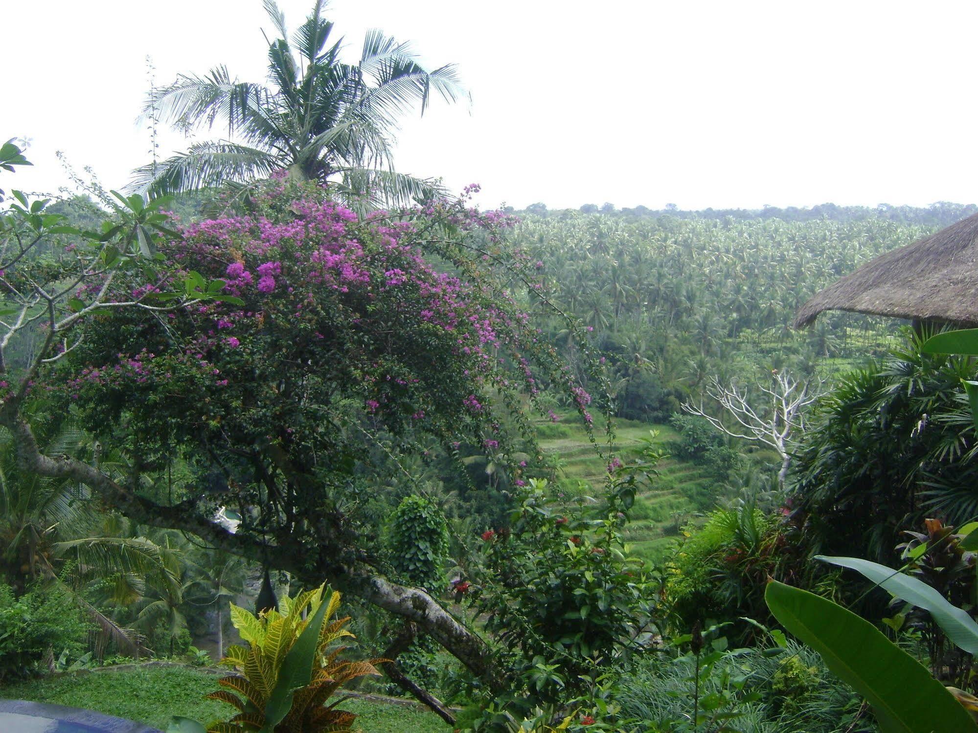 Taman Bebek Bali Hotel Ubud  Exterior photo