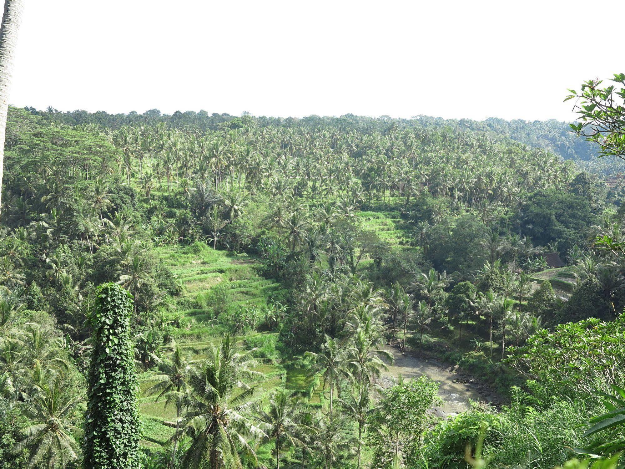 Taman Bebek Bali Hotel Ubud  Exterior photo