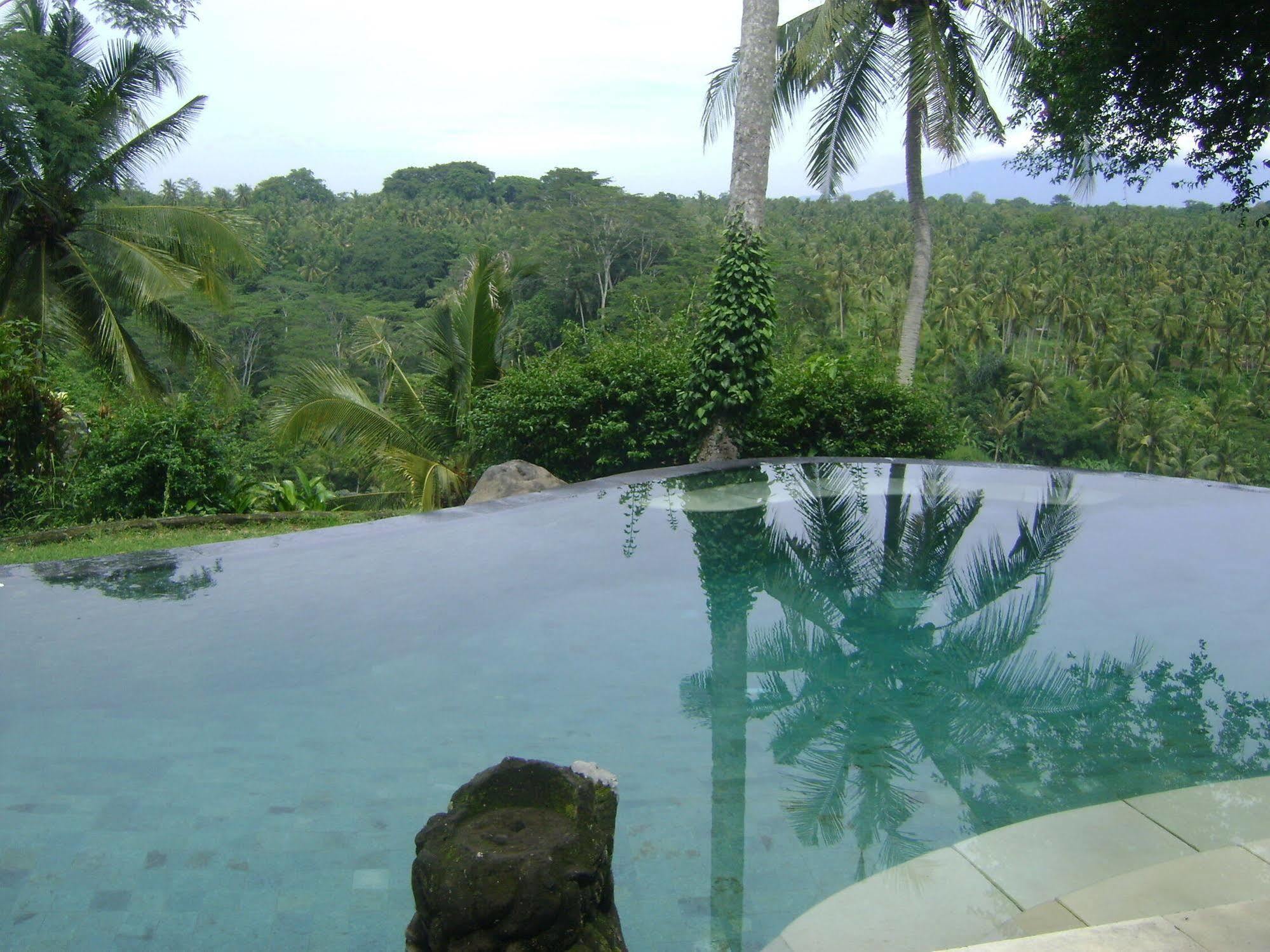 Taman Bebek Bali Hotel Ubud  Exterior photo